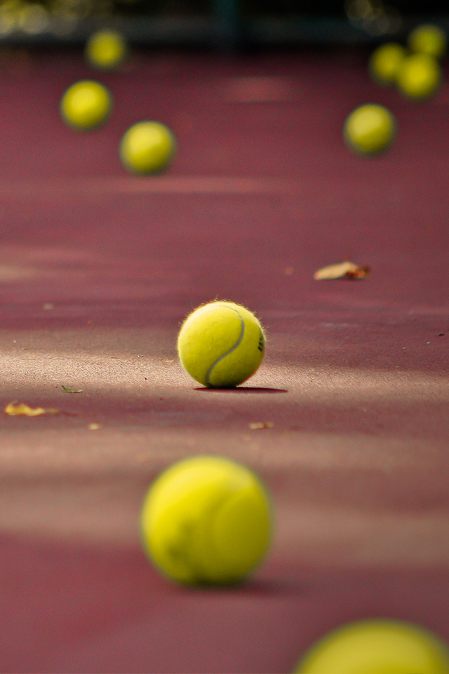 tennis wallpaper iphone,tennis ball,ball,tennis court,tennis,sport venue