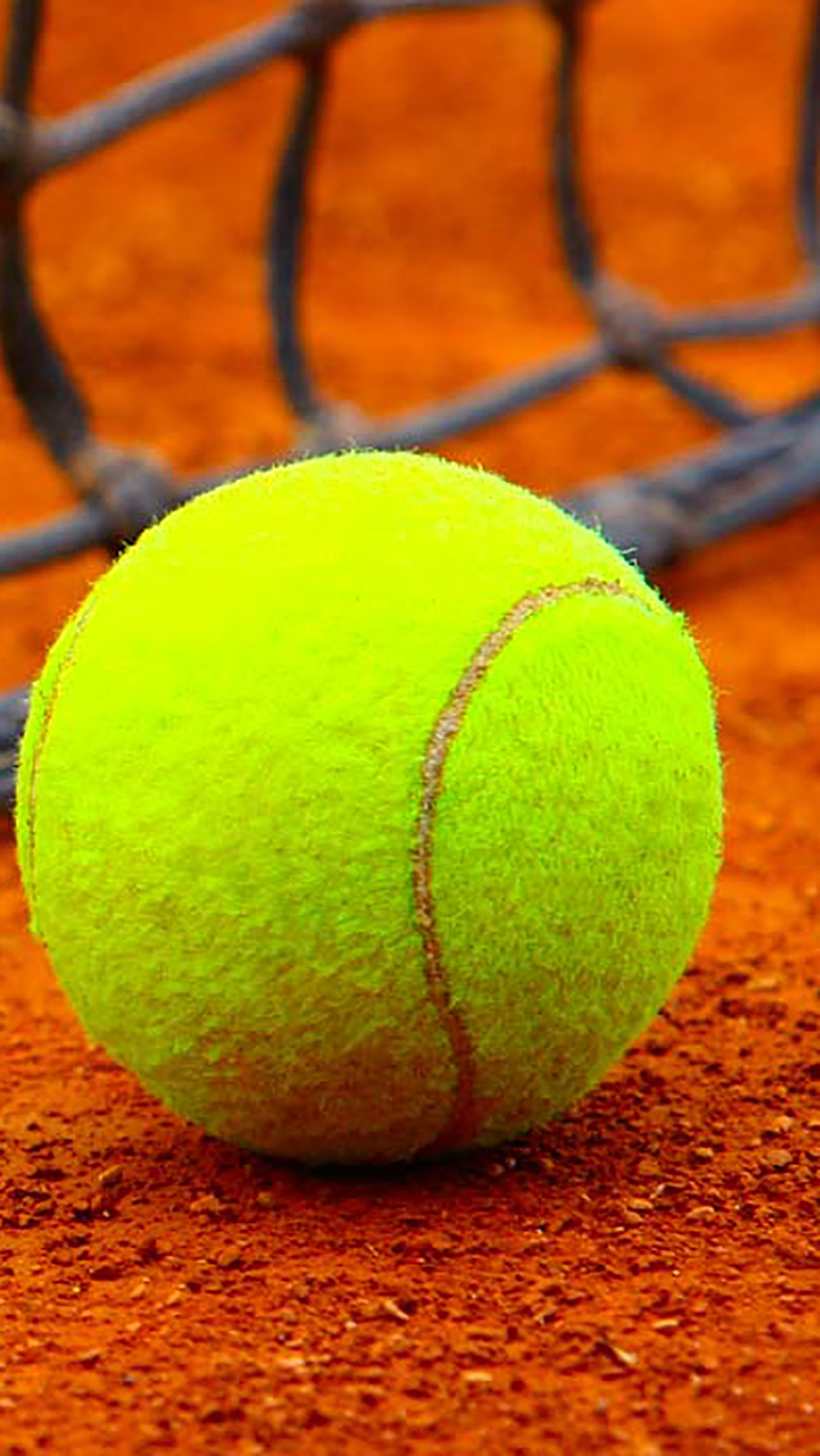 fond d'écran balle de tennis,balle de tennis,tennis,équipement sportif,sport de raquette,des sports