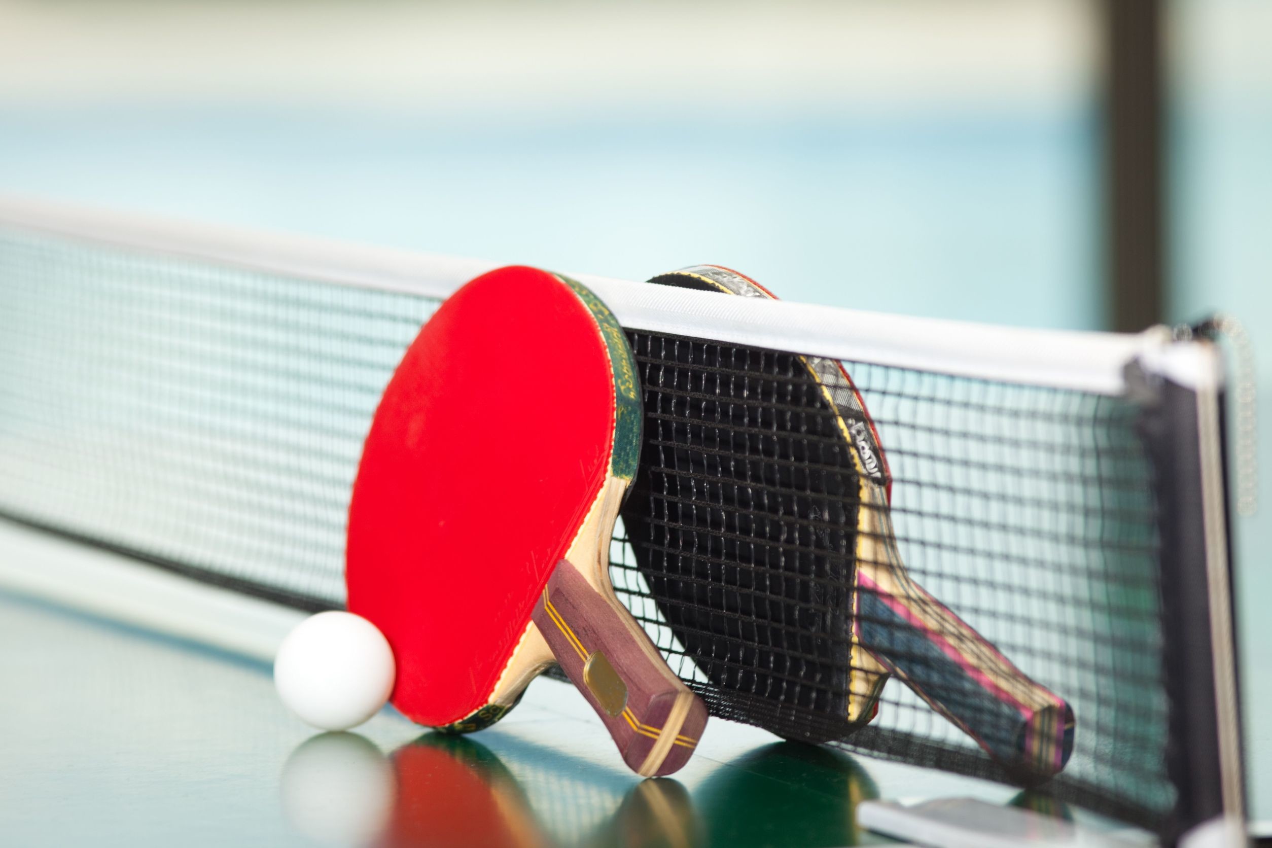 fondo de pantalla de tenis de mesa,ping pong,deporte de raqueta,raqueta,tenis,red
