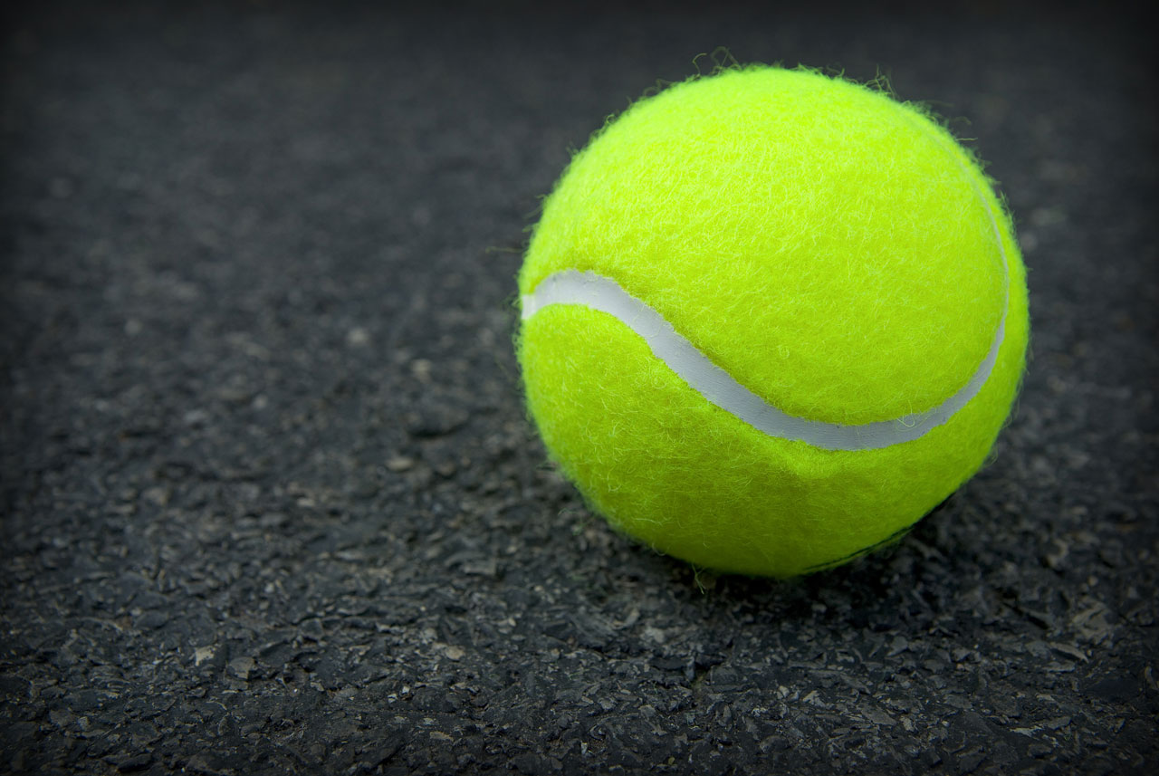 tennis ball wallpaper,tennis ball,ball,tennis,sports equipment,paddle