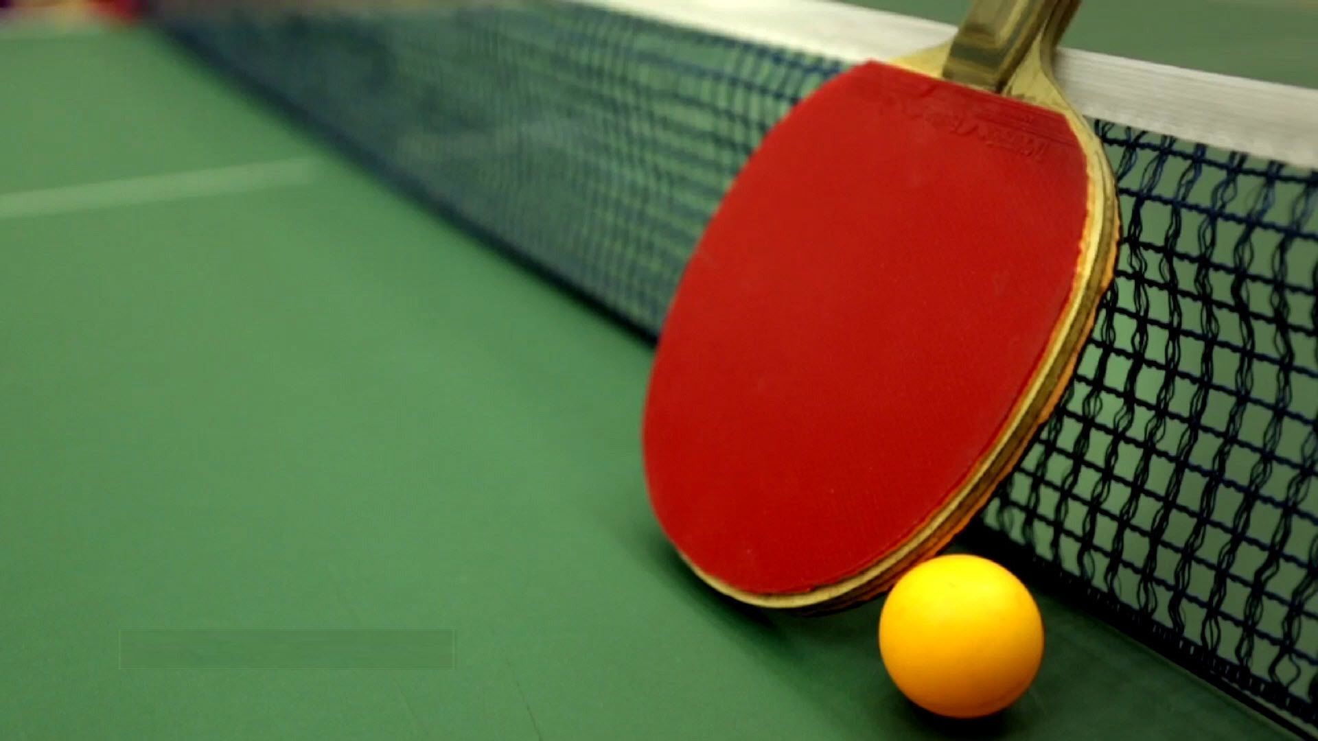 fondo de pantalla de tenis de mesa,ping pong,raqueta,deporte de raqueta,raqueta de tenis de mesa,racketlon