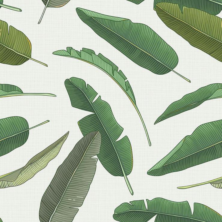 banana leaf removable wallpaper,plant,leaf,tree,flower,woody plant