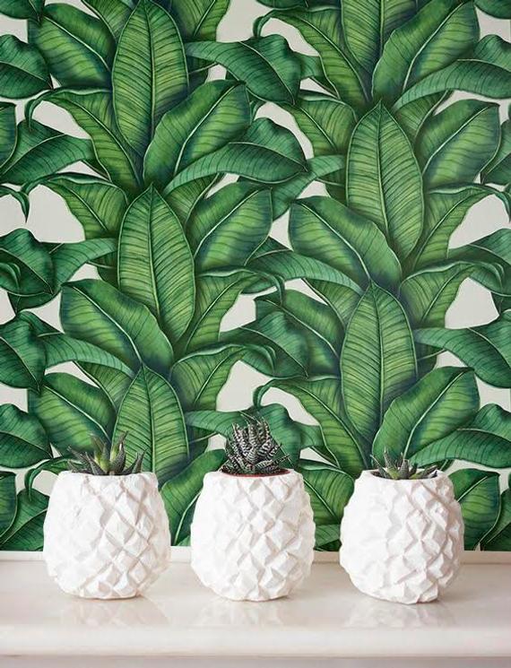 papier peint amovible feuille de bananier,plante,plante d'appartement,vert,feuille,ananas