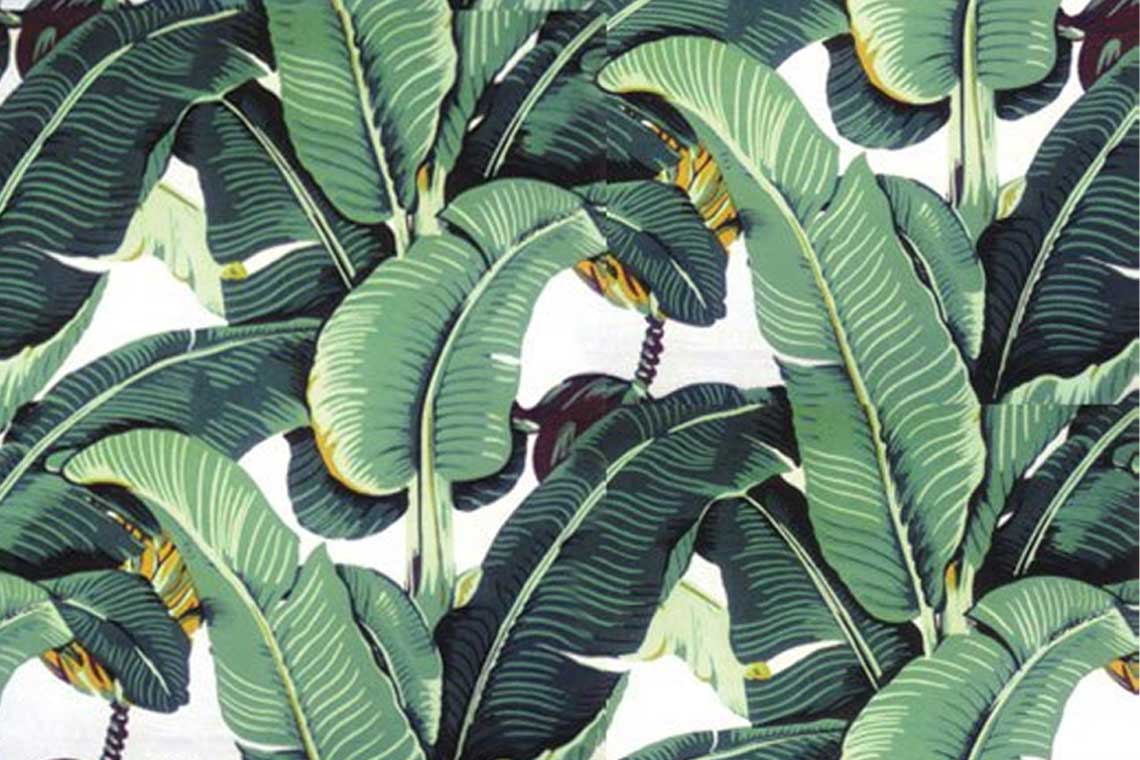 banana leaf wallpaper uk,plant,leaf,flower,banana leaf,terrestrial plant