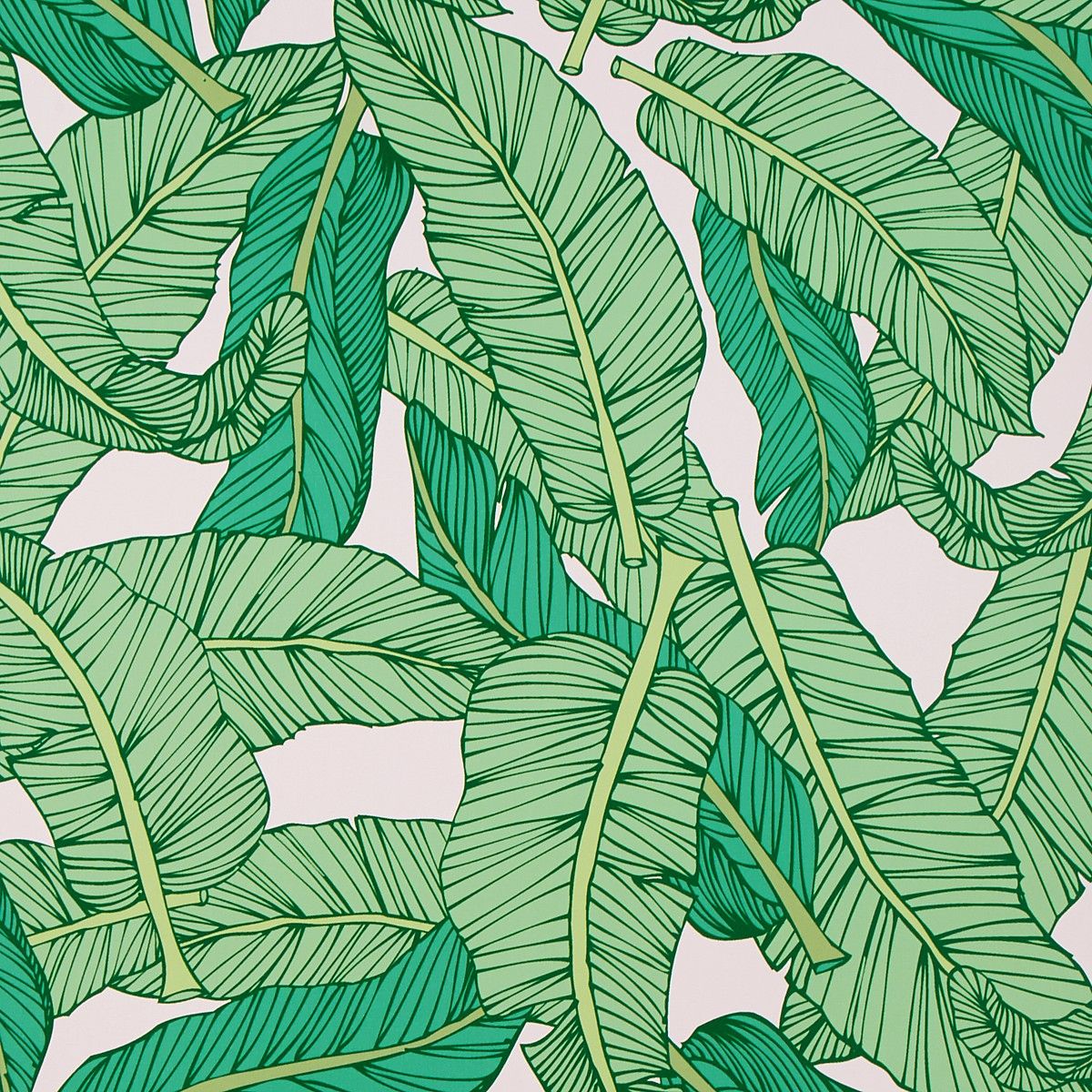 banana leaf removable wallpaper,leaf,plant,flower,pattern,botany