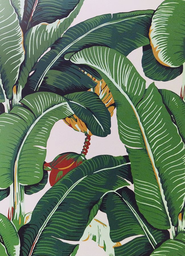 palm wallpaper beverly hills hotel,plant,leaf,banana leaf,flower,tree