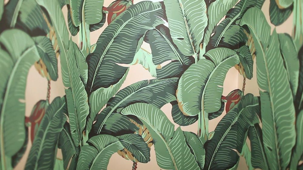 palm wallpaper beverly hills hotel,leaf,plant,flower,botany,terrestrial plant
