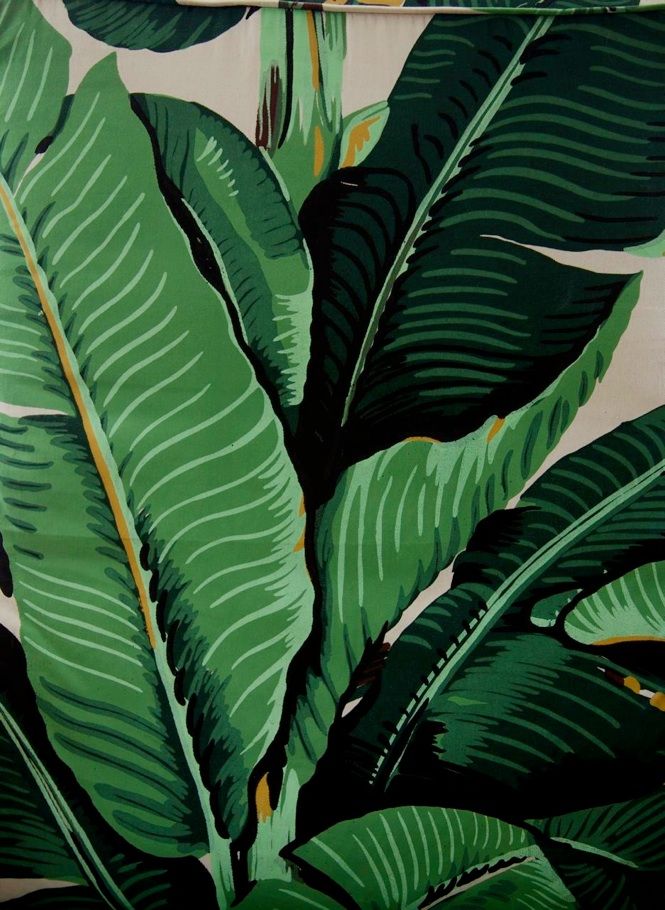 palm wallpaper beverly hills hotel,leaf,plant,terrestrial plant,flower,banana leaf