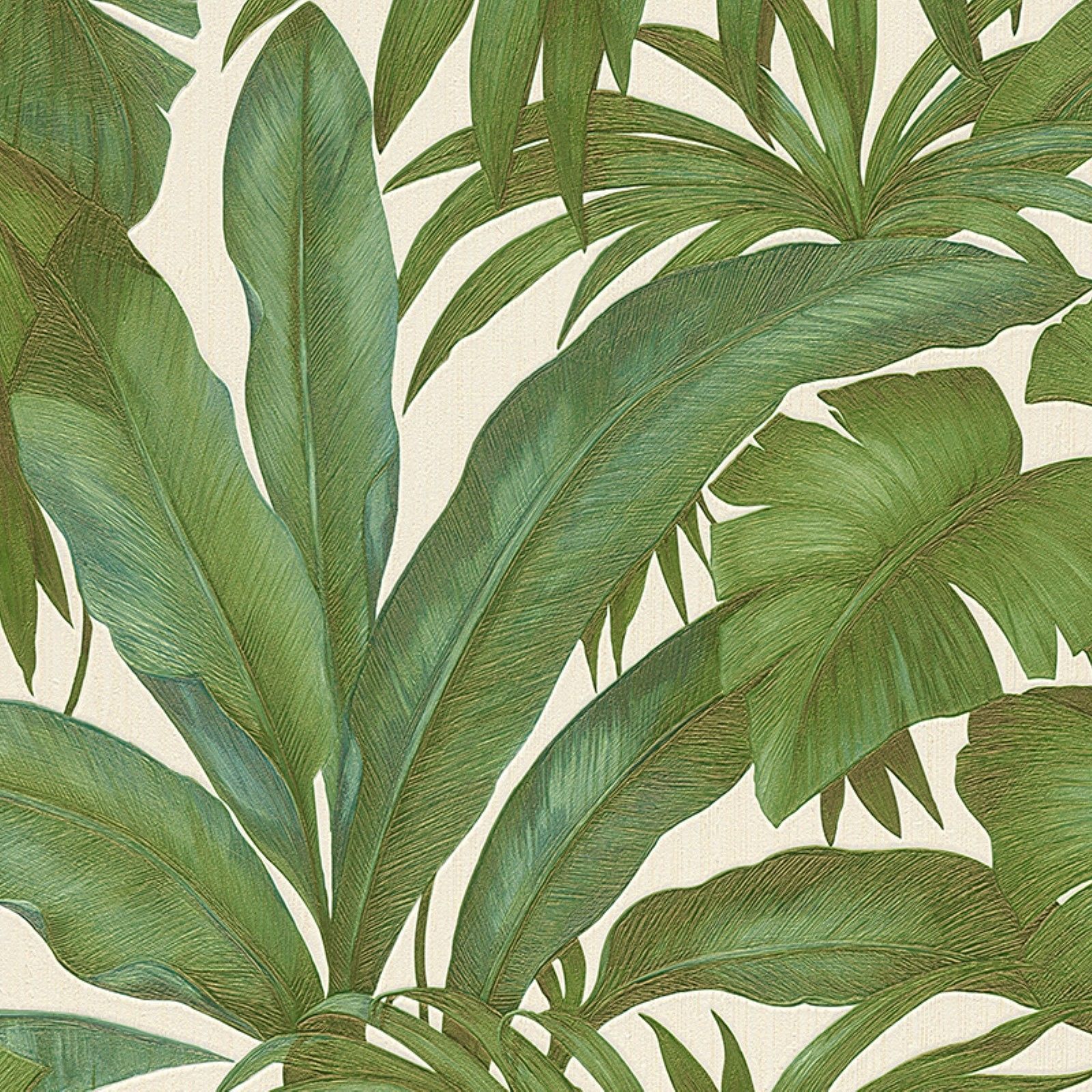 녹색 야자 잎 벽지,식물,꽃,잎,꽃 피는 식물,관엽 식물