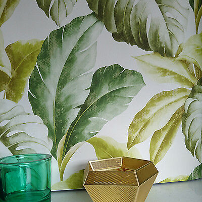 banana leaf wallpaper uk,hoja,planta de casa,maceta,planta,flor