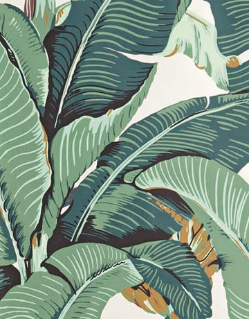 martinique beverly hills wallpaper,leaf,plant,pattern,botany,banana leaf