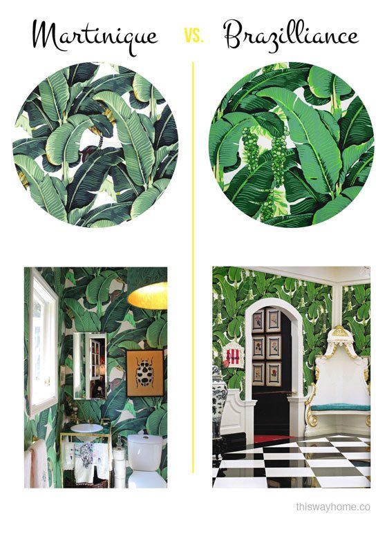 martinique beverly hills wallpaper,green,leaf,plant,botany,organism