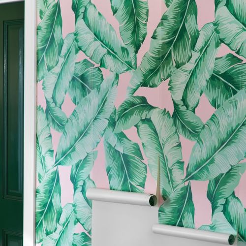papel tapiz removible de hoja de plátano,hoja,verde,planta,flor,pared