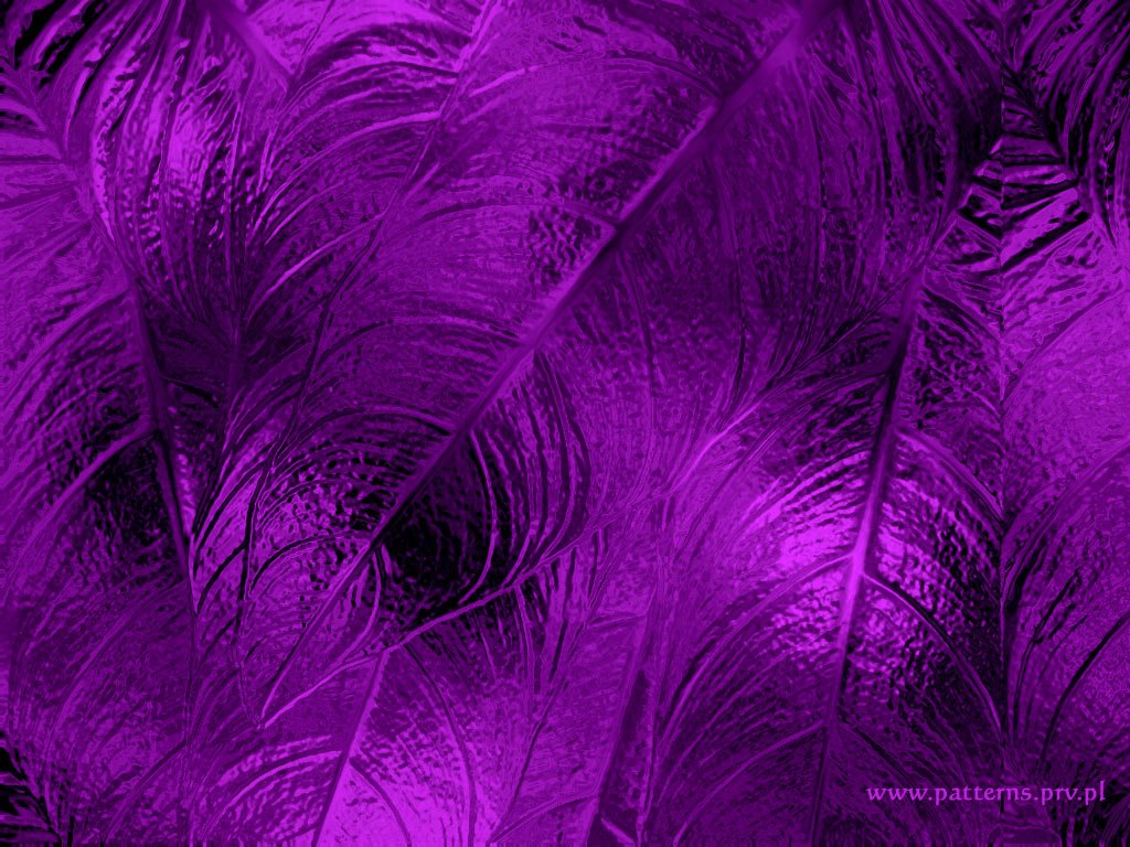無料の紫色の壁紙,紫の,フェザー,バイオレット,ピンク,工場