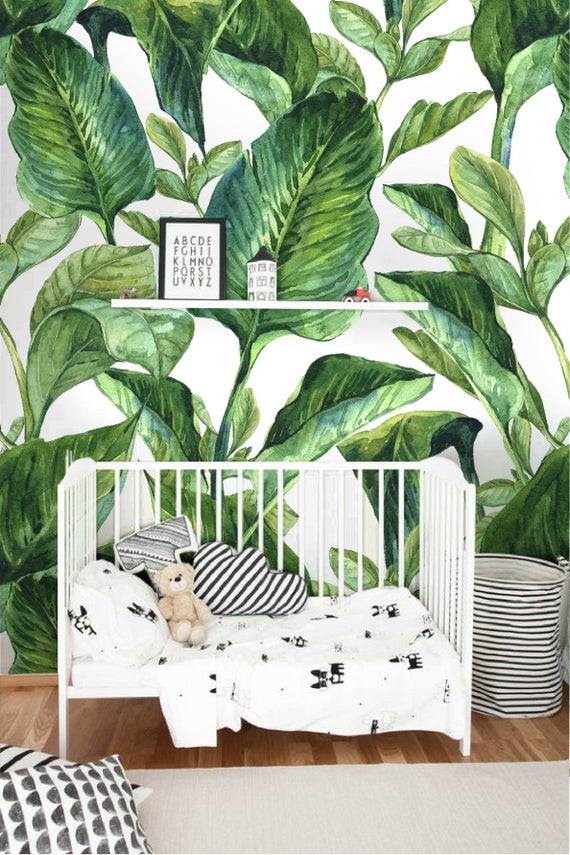 banana leaf removable wallpaper,green,leaf,botany,plant,houseplant