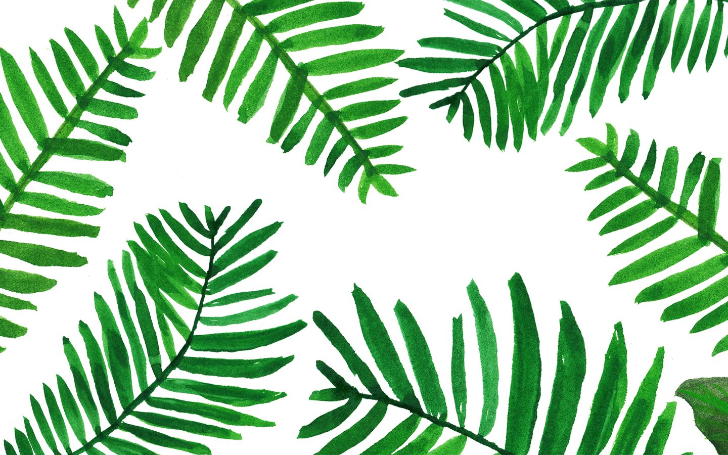 grüne palmblatt tapete,blatt,grün,pflanze,baum,farn