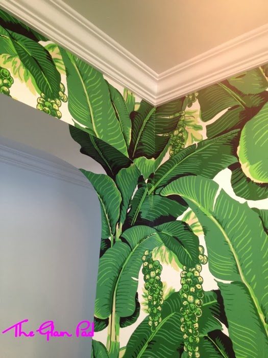 brazilliance wallpaper,leaf,flower,plant,tree,houseplant
