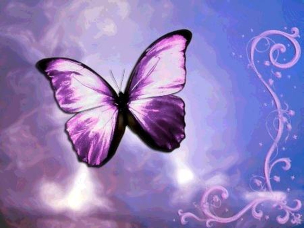 かわいい蝶の壁紙,バタフライ,紫の,バイオレット,蛾と蝶,昆虫