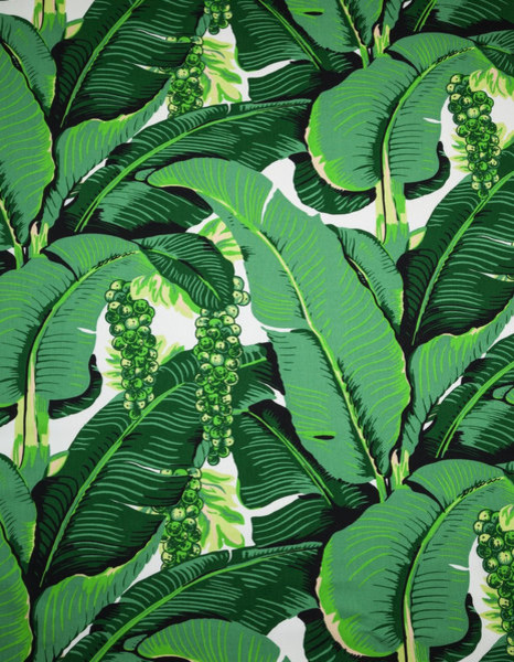 brazilliance wallpaper,flower,leaf,plant,flowering plant,tree
