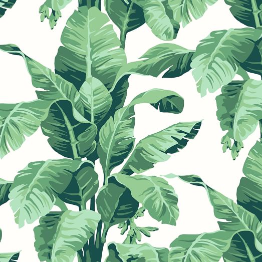 papel tapiz de hoja de palma verde,hoja,flor,planta,árbol,planta floreciendo