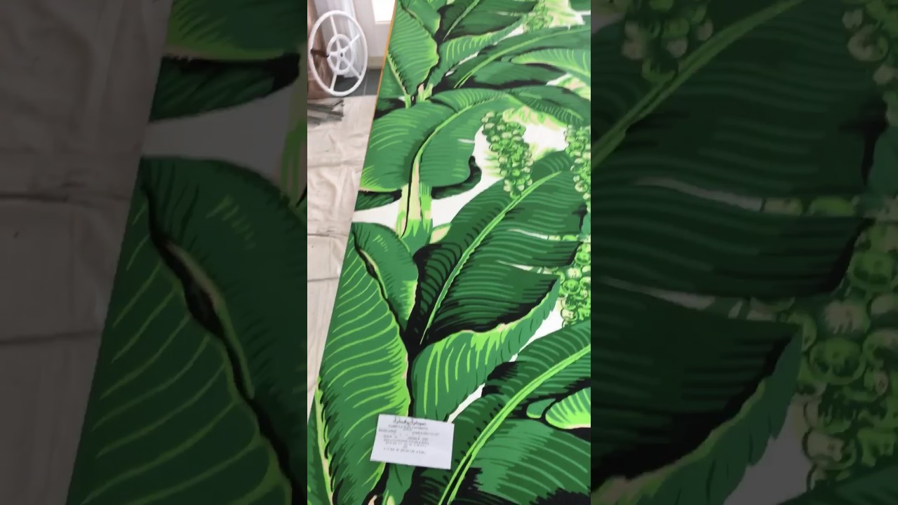 brazilliance wallpaper,leaf,banana leaf,plant,flower,botany