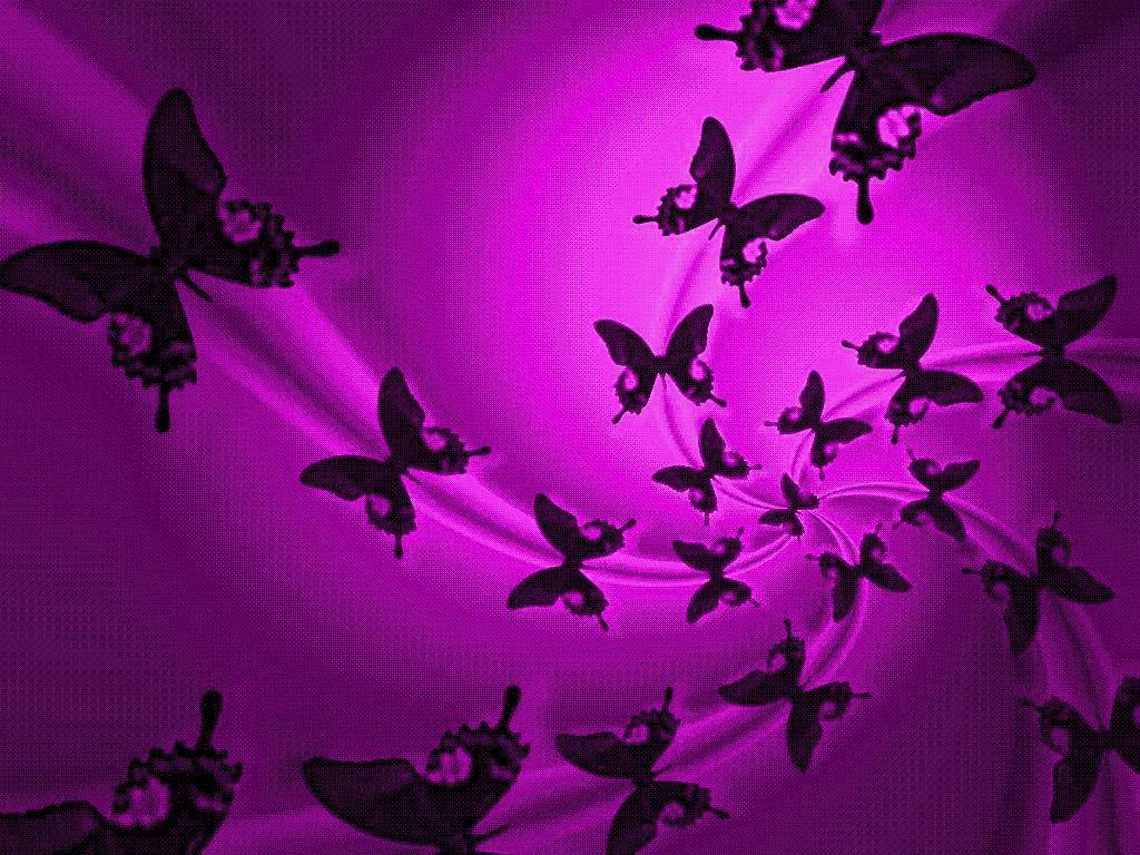 papier peint papillon mignon,violet,violet,rose,aile,plante