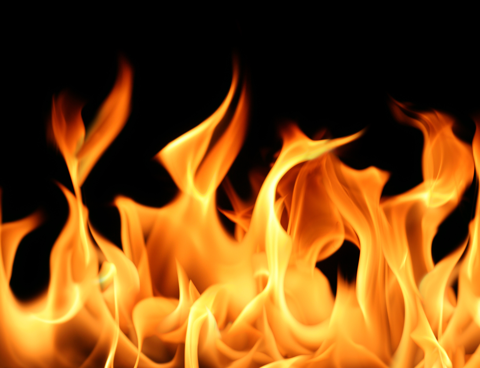 in flames wallpaper,fire,flame,heat,orange,gas