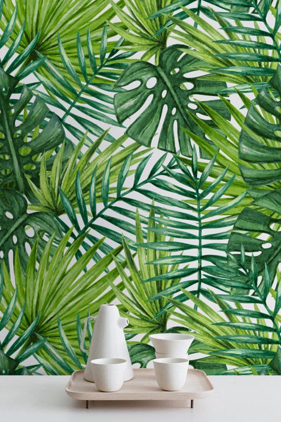 녹색 야자 잎 벽지,식물,나무,잎,몬스 테라 델리 코사,초록