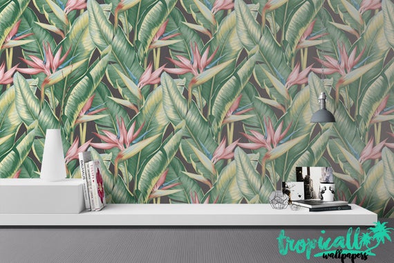 papier peint feuille de bananier royaume uni,mur,plante,fleur,plante d'appartement,mural