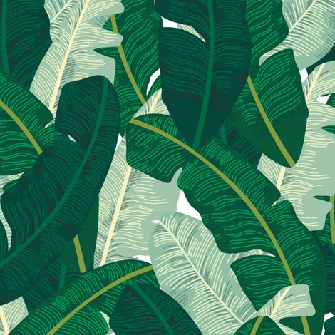 papier peint palmier banane,feuille,vert,modèle,plante,fleur