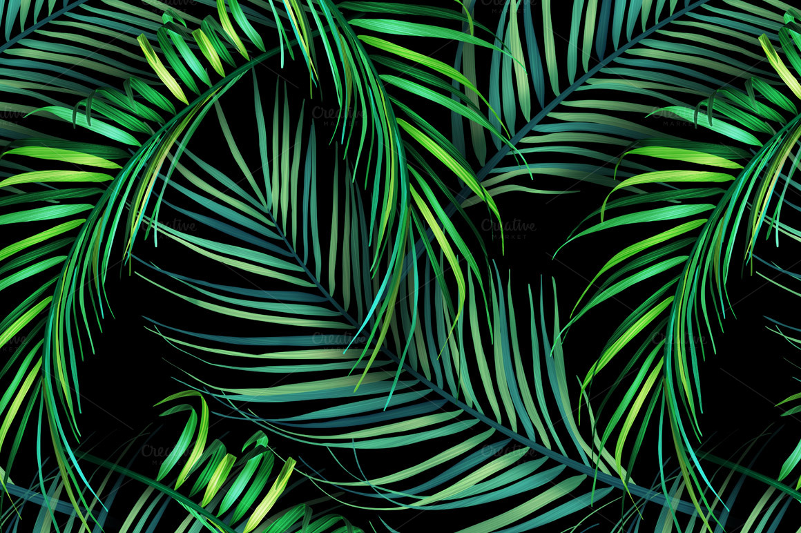 carta da parati a fronde di palma,verde,modello,foglia,pianta,design