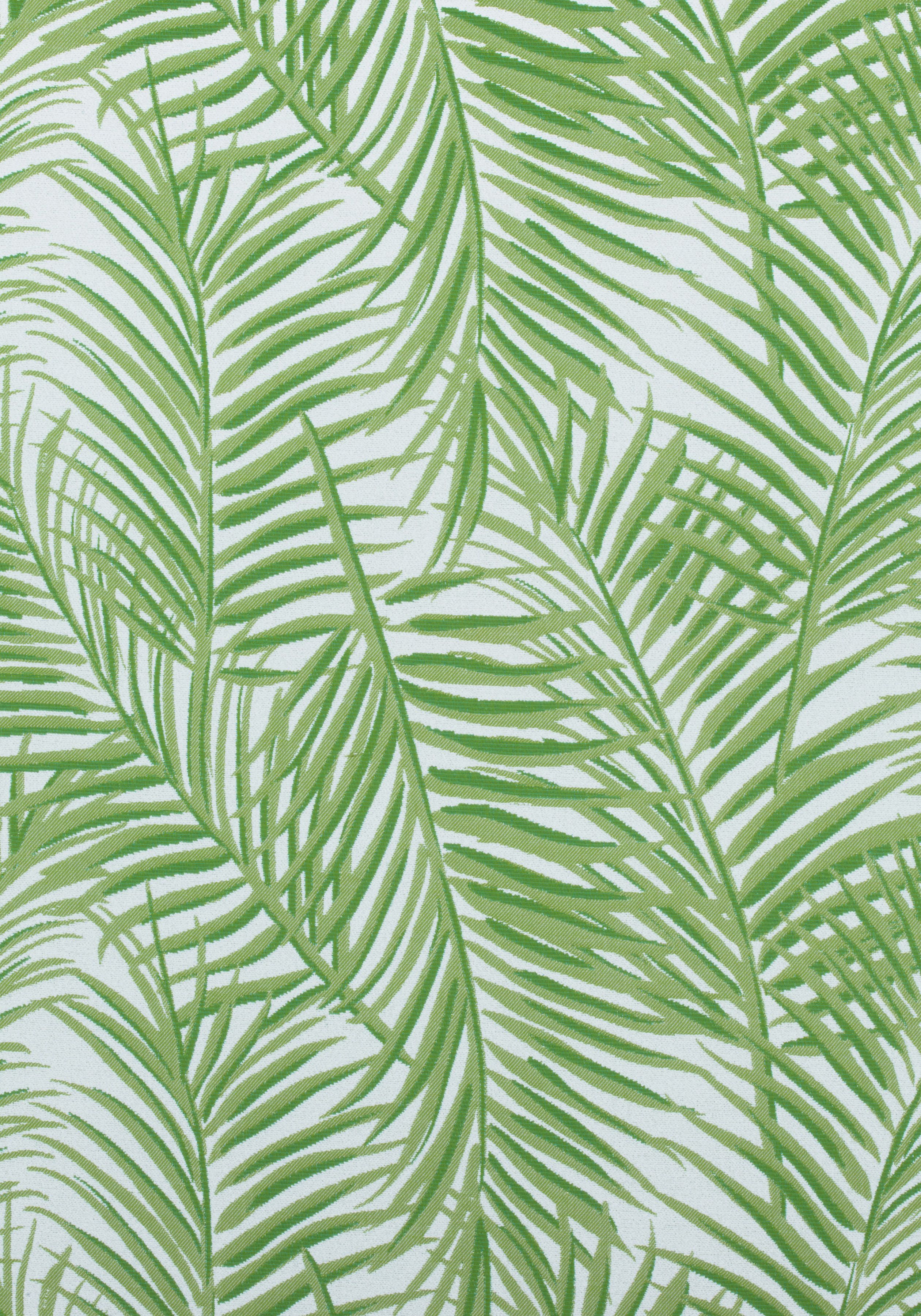 palm frond wallpaper,leaf,pattern,plant,terrestrial plant,botany