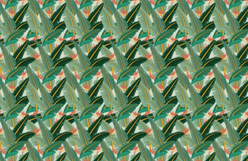 banana leaf wallpaper uk,green,pattern,grass,leaf,plant
