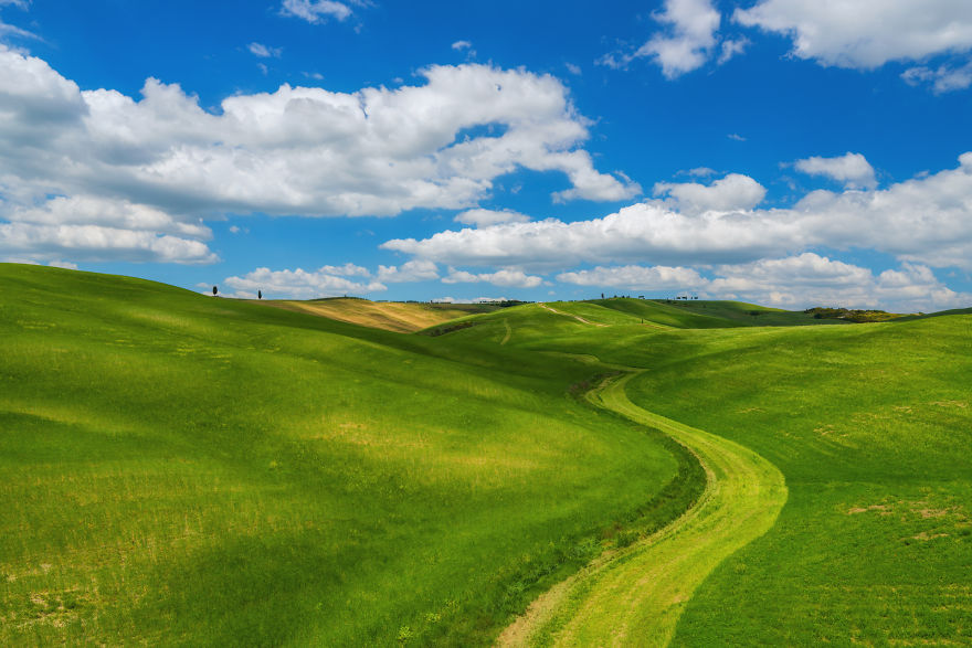 windows classic wallpaper,grassland,natural landscape,green,nature,sky