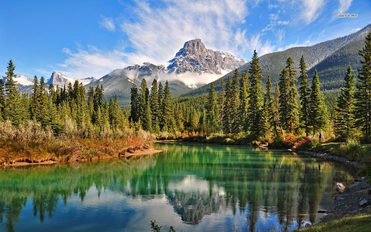 自然山の壁紙,自然の風景,自然,反射,山,larix lyalliisubalpineカラマツ