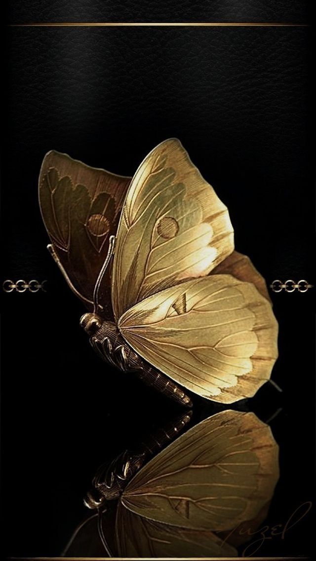 gold butterfly wallpaper,butterfly,moths and butterflies,insect,still life photography,pollinator