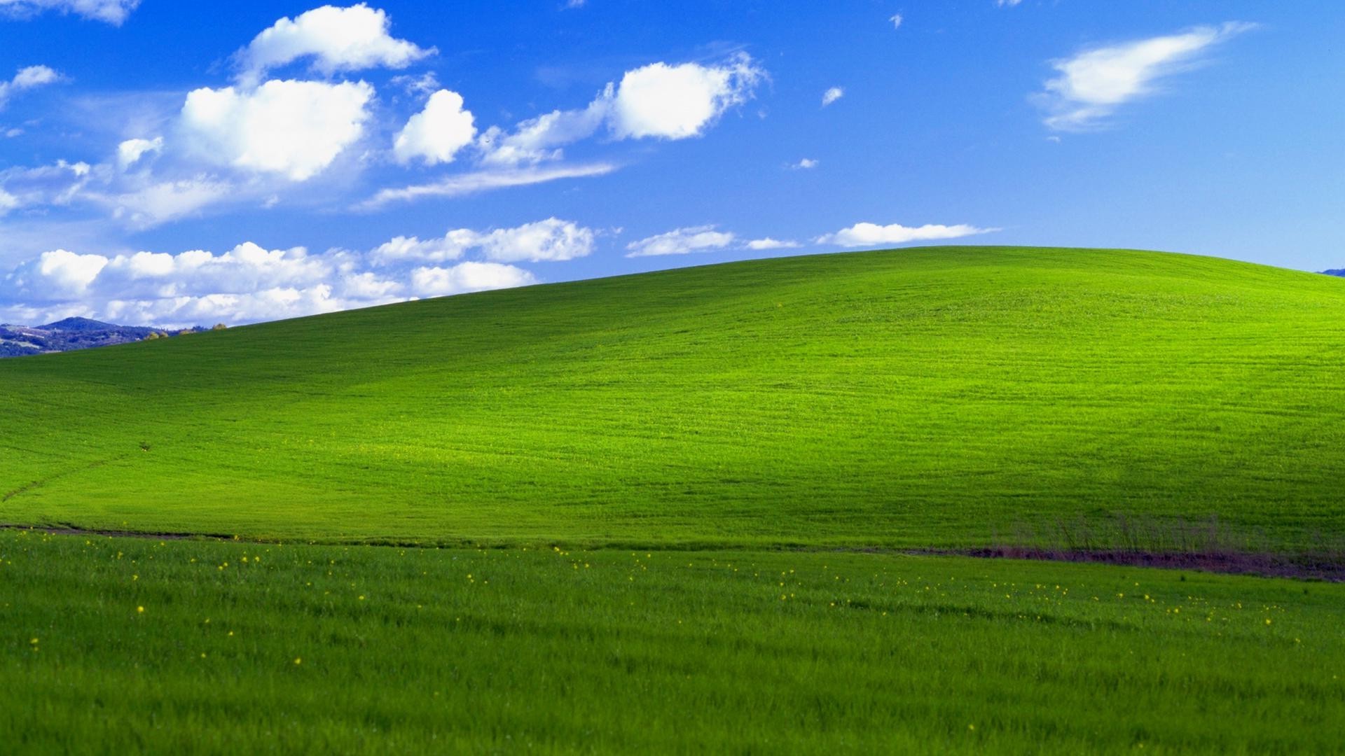 felicidad fondo de pantalla hd,pradera,verde,cielo,paisaje natural,naturaleza