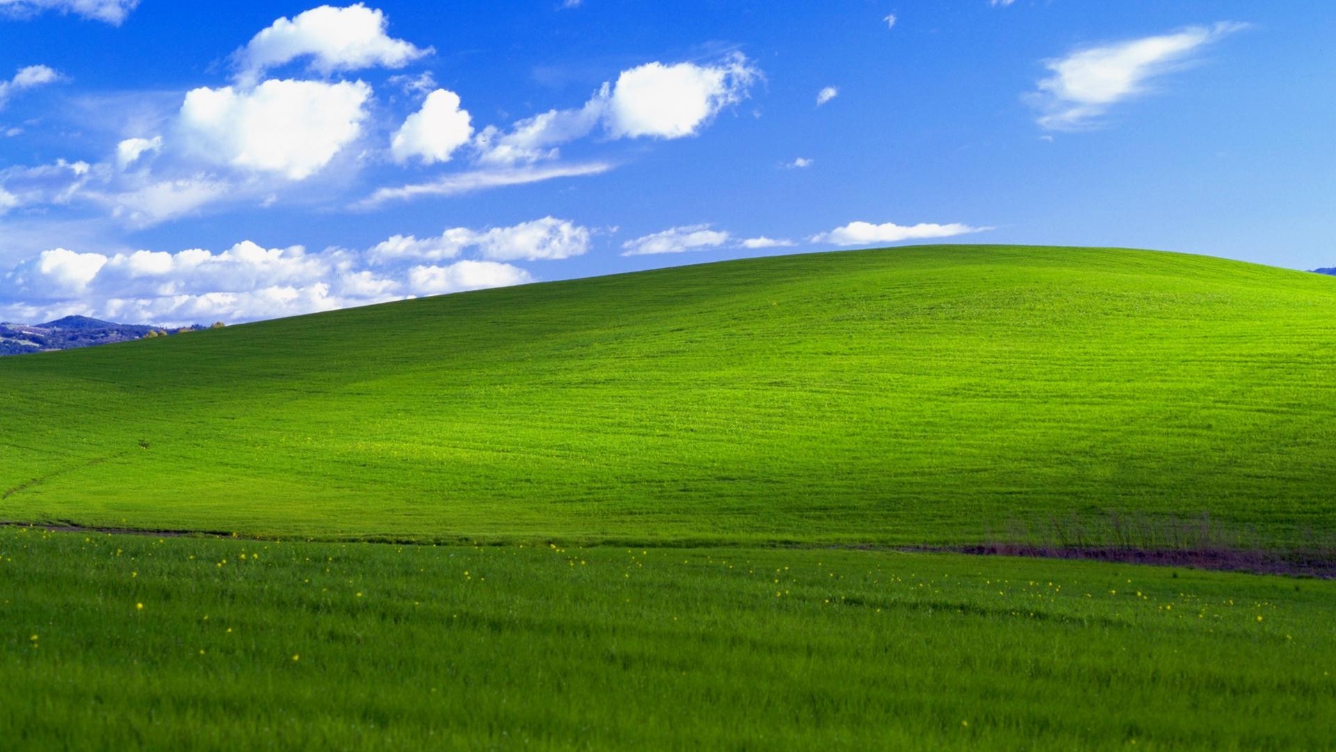 glückseligkeit tapete hd,wiese,grün,himmel,natürliche landschaft,natur