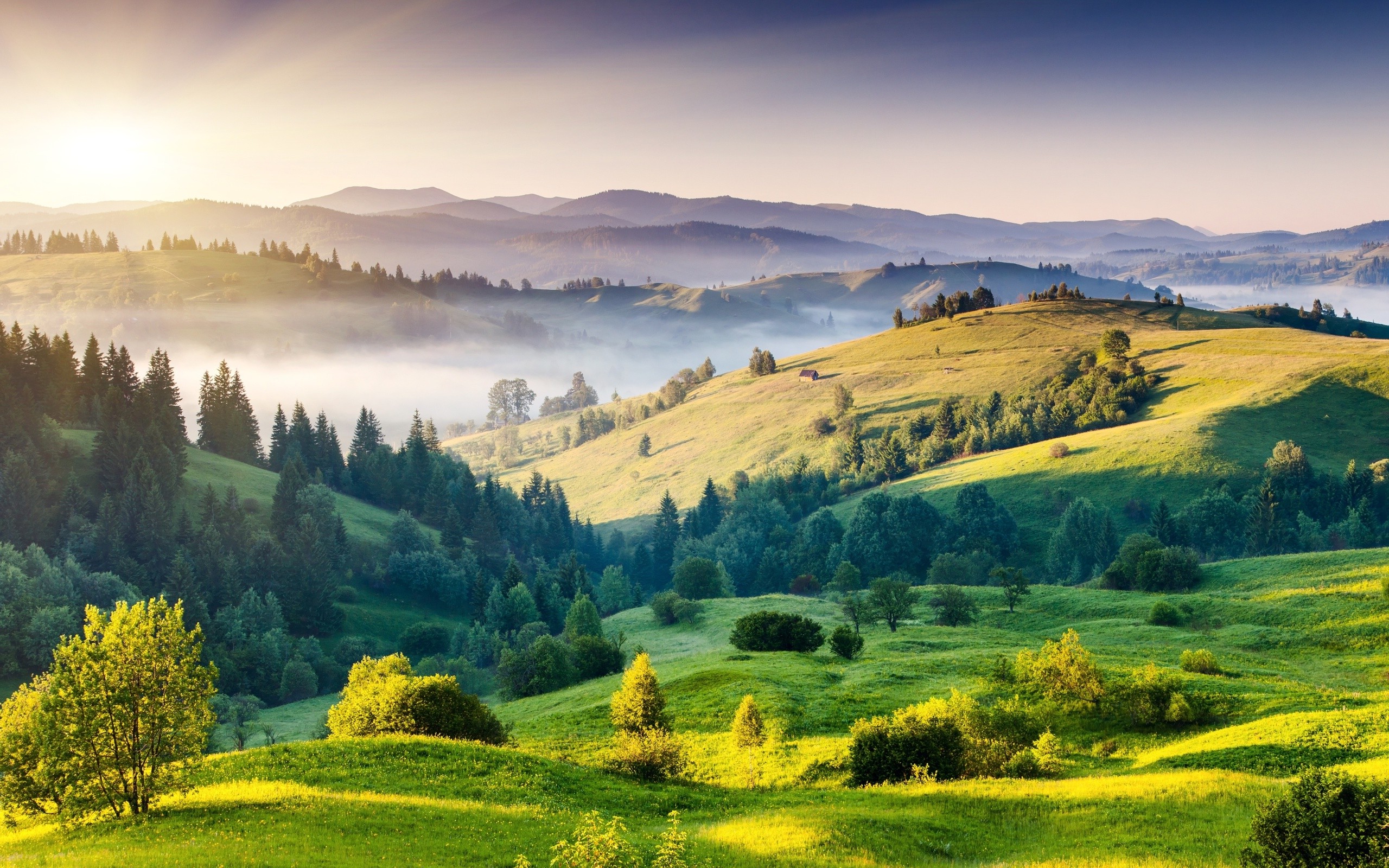 hügel tapete hd,natürliche landschaft,natur,hügel,berg,wiese