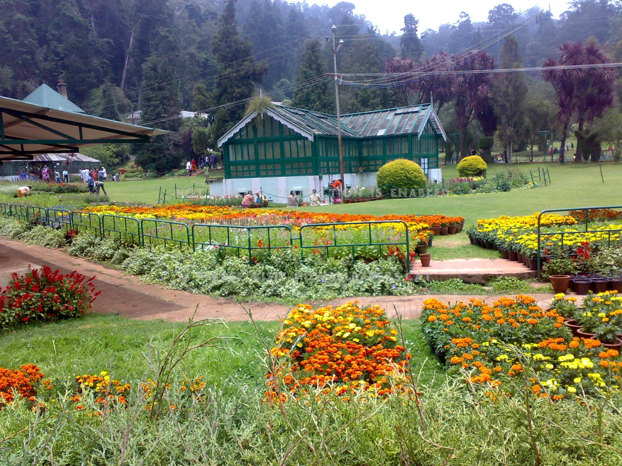 papel pintado de la estación de la colina,jardín botánico,jardín,paisaje natural,granja,prado