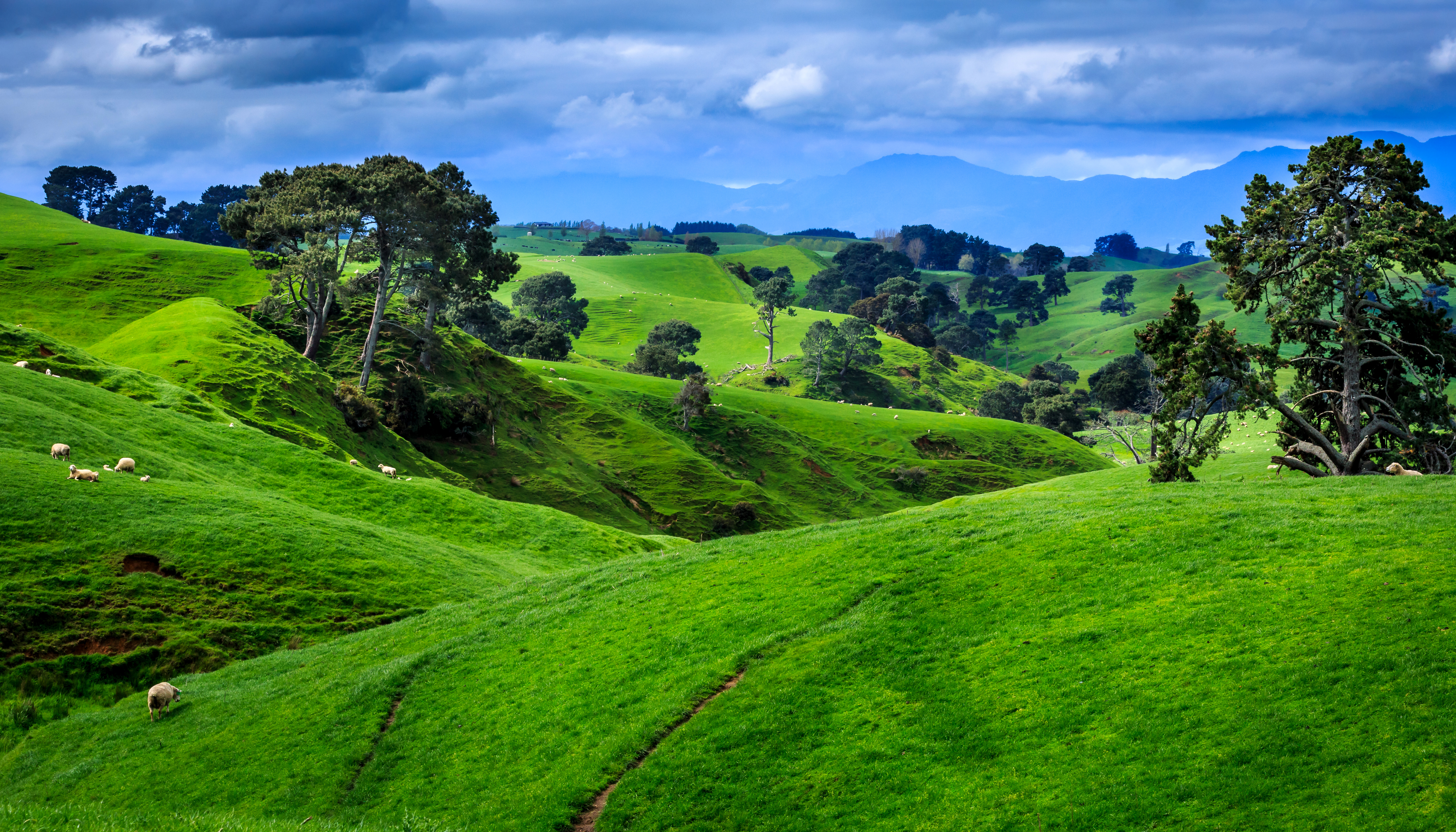 丘壁紙hd,緑,自然の風景,自然,草原,丘