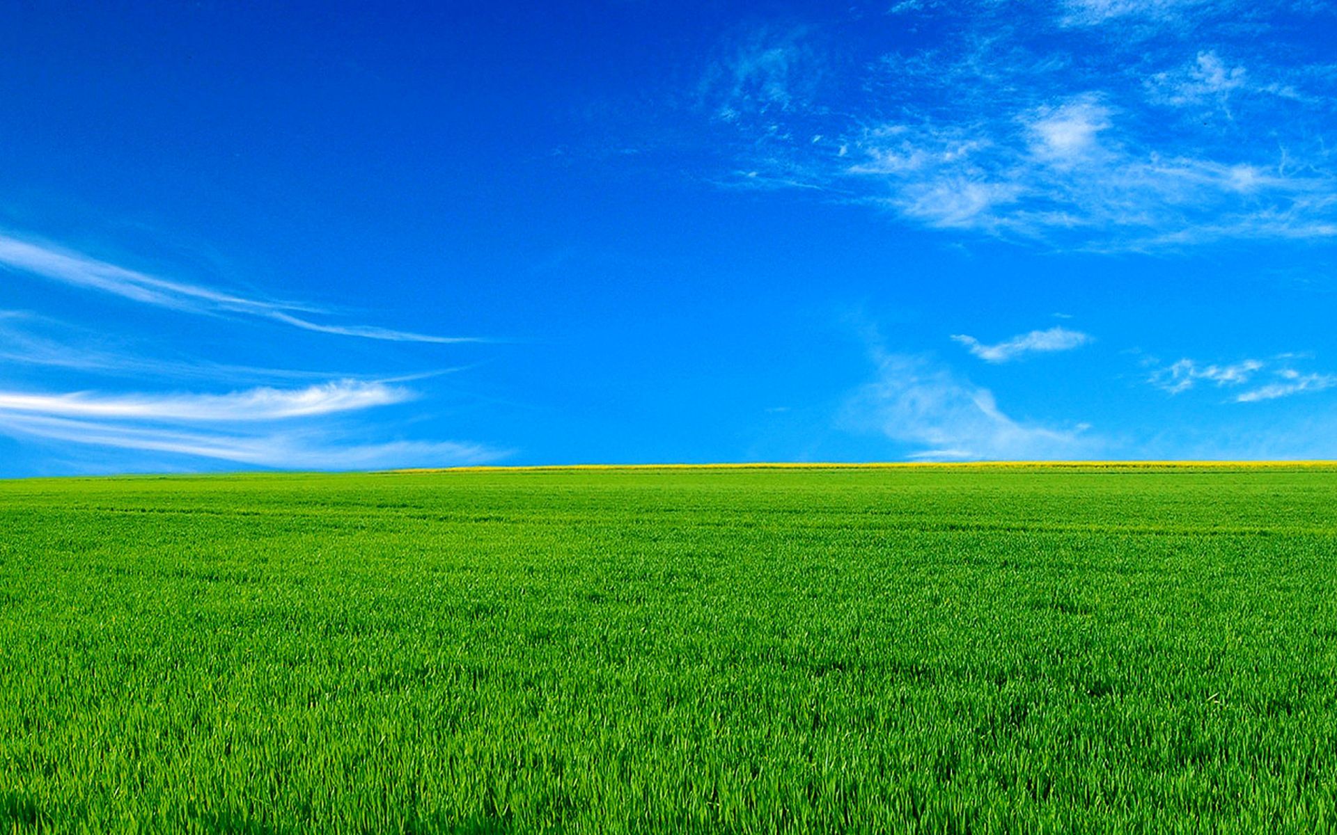 至福の壁紙のhd,草原,空,緑,自然の風景,フィールド