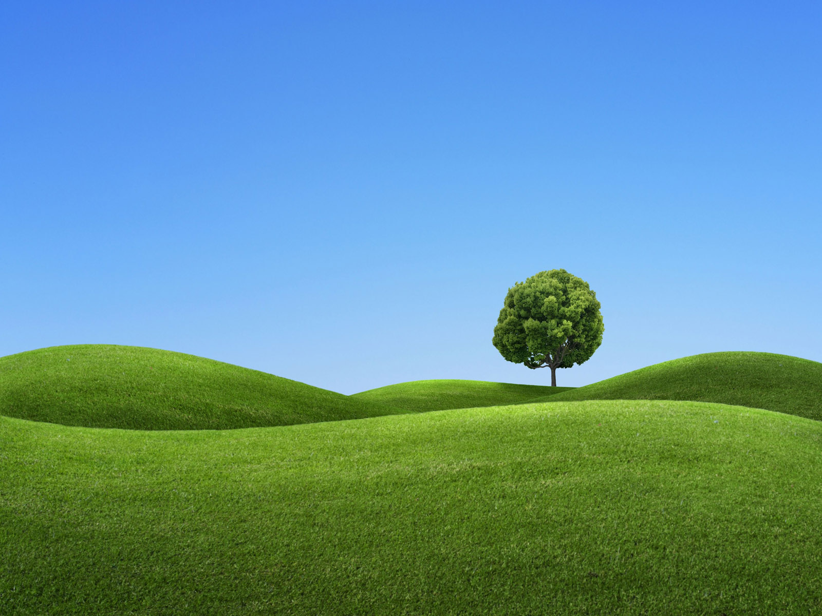 丘壁紙hd,緑,草原,自然の風景,自然,丘