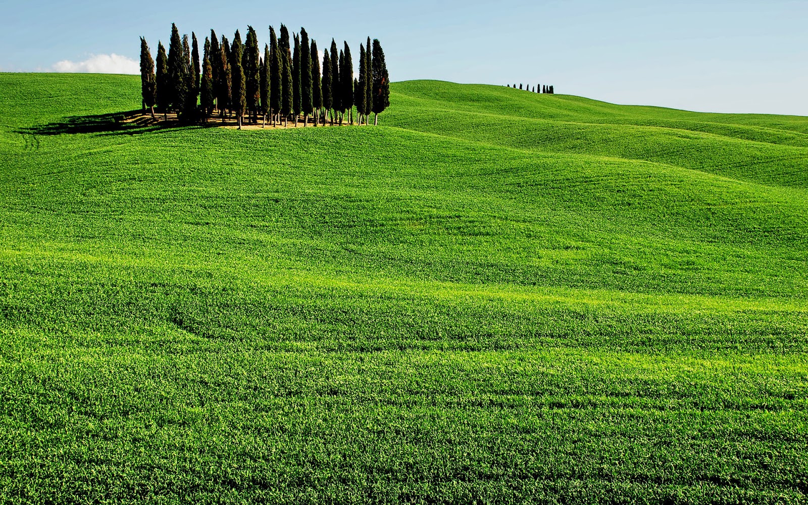 colina fondo de pantalla hd,pradera,paisaje natural,verde,campo,césped