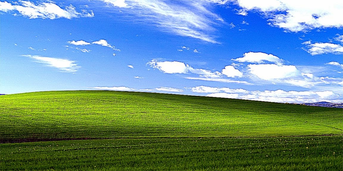 bonheur fond d'écran hd,ciel,prairie,vert,paysage naturel,la nature