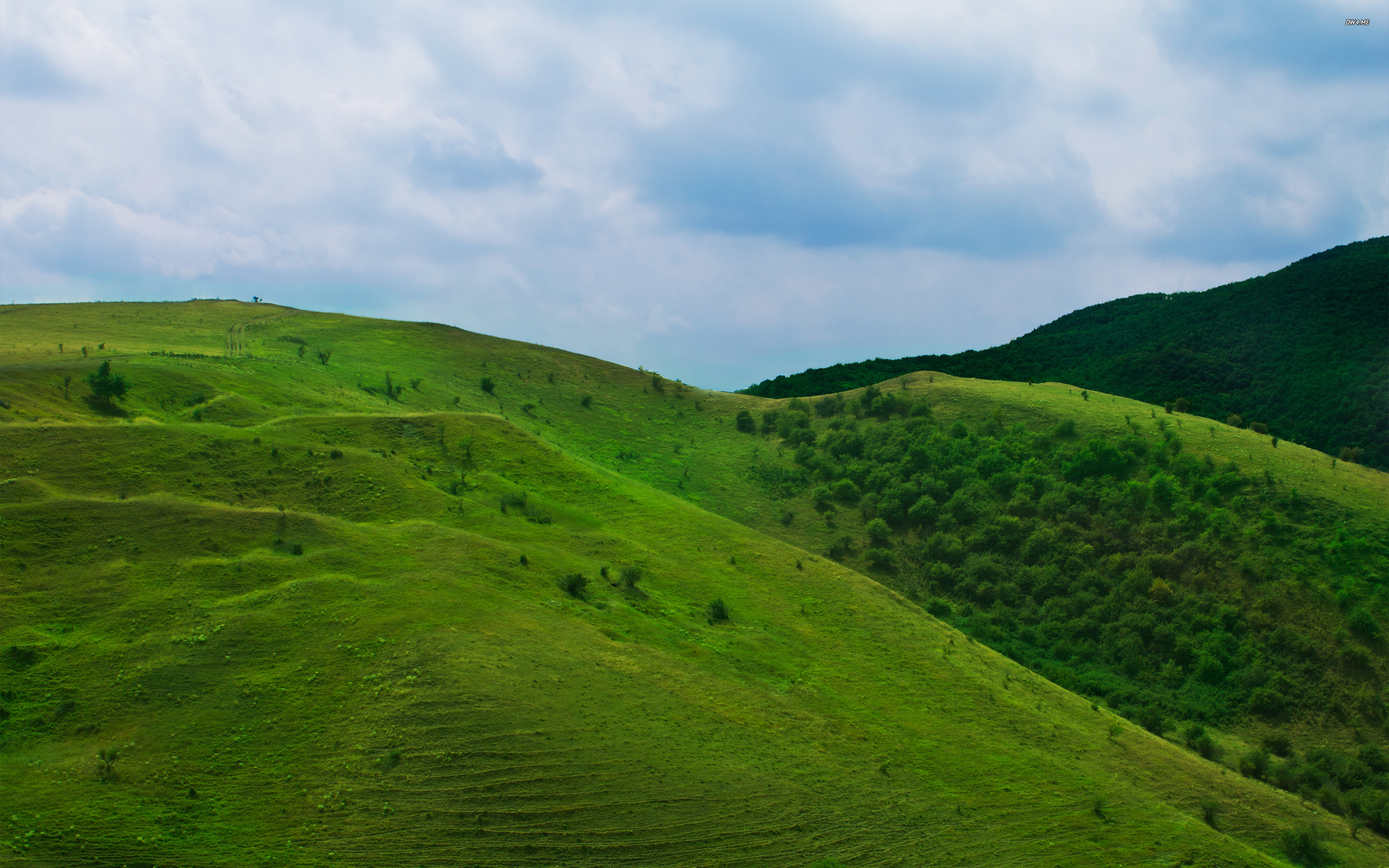 緑の丘の壁紙,丘,草原,緑,自然,自然の風景
