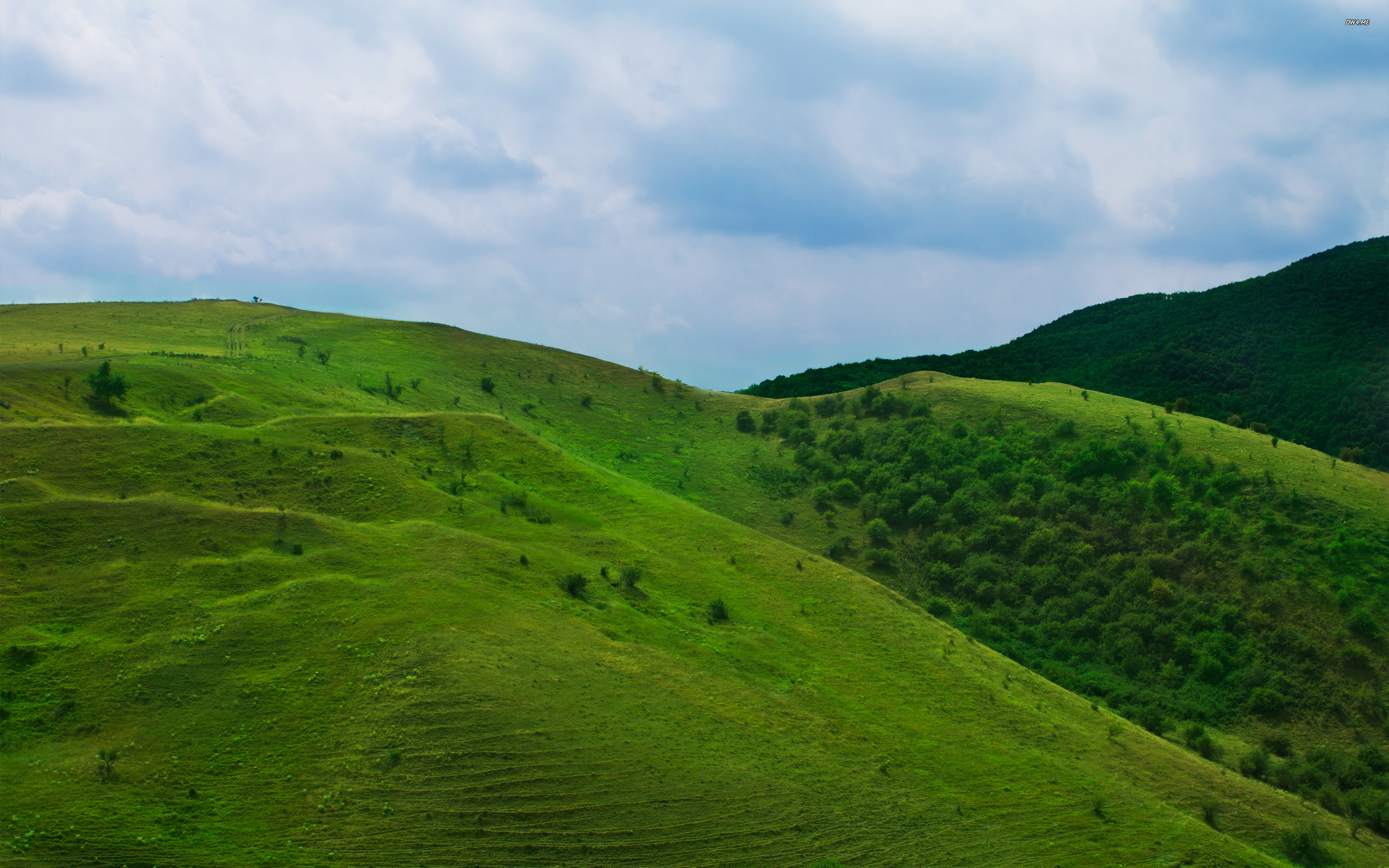 grüne hügel tapete,hügel,wiese,grün,natur,natürliche landschaft