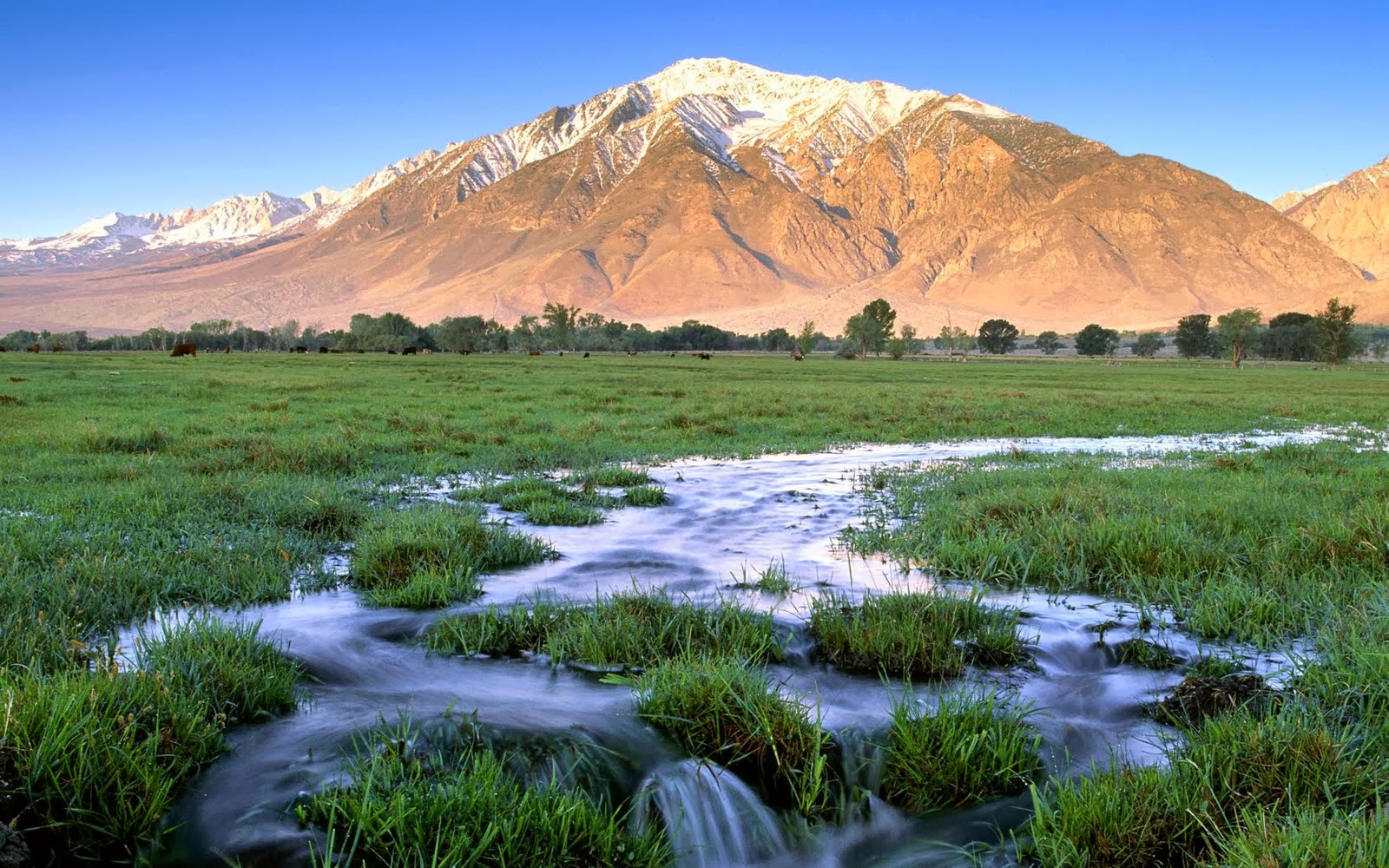 美しい山の壁紙,自然の風景,自然,山,草原,山脈