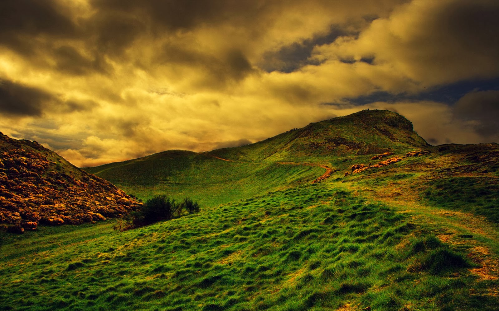 美しい丘の壁紙,自然,緑,空,自然の風景,丘