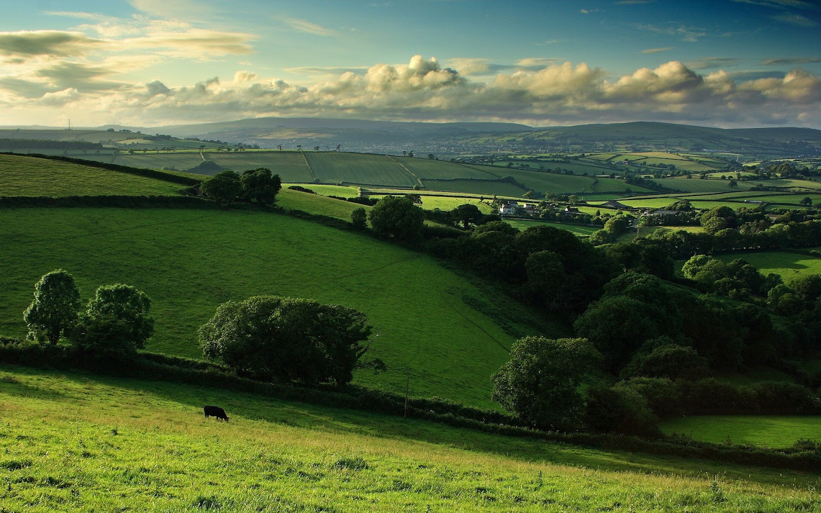 美しい丘の壁紙,緑,自然,草原,空,丘